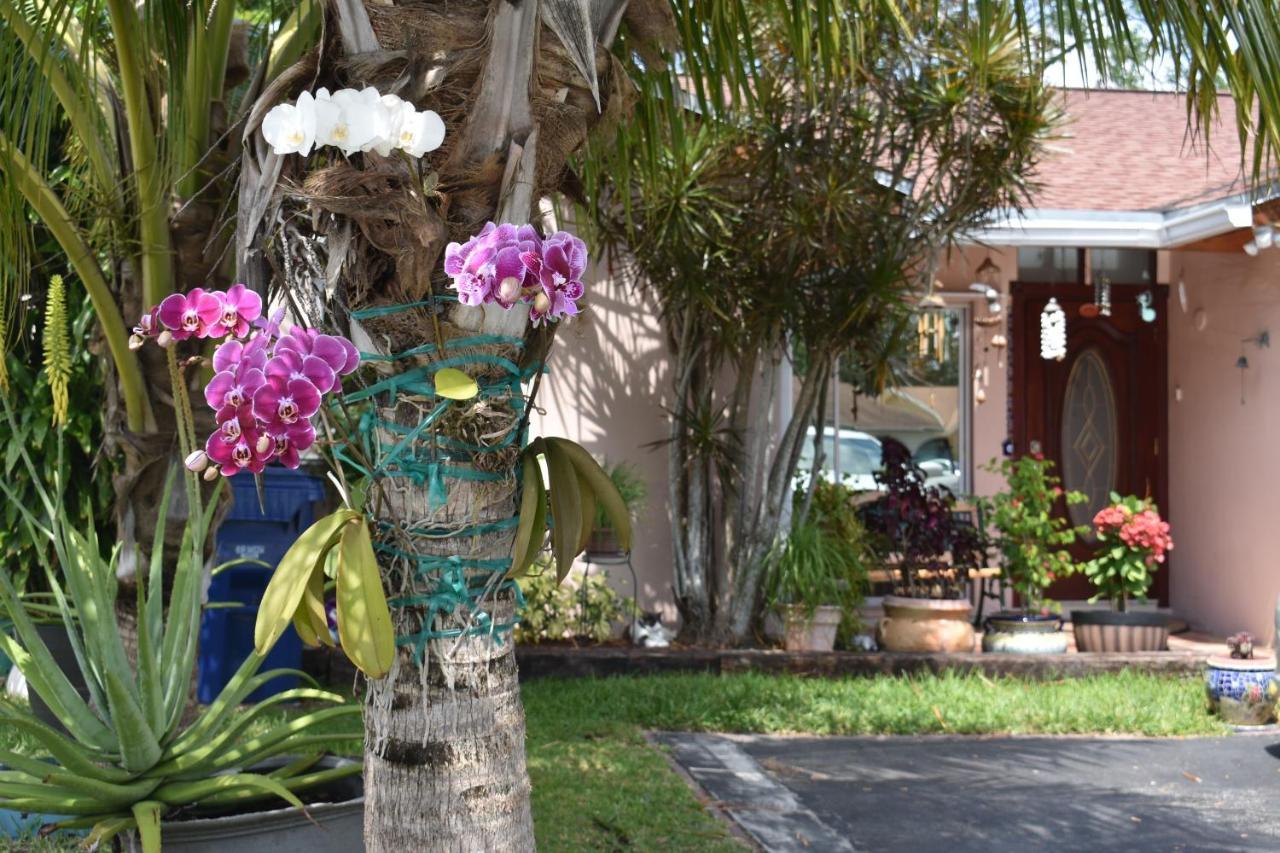 Miami Nice Daire Dış mekan fotoğraf