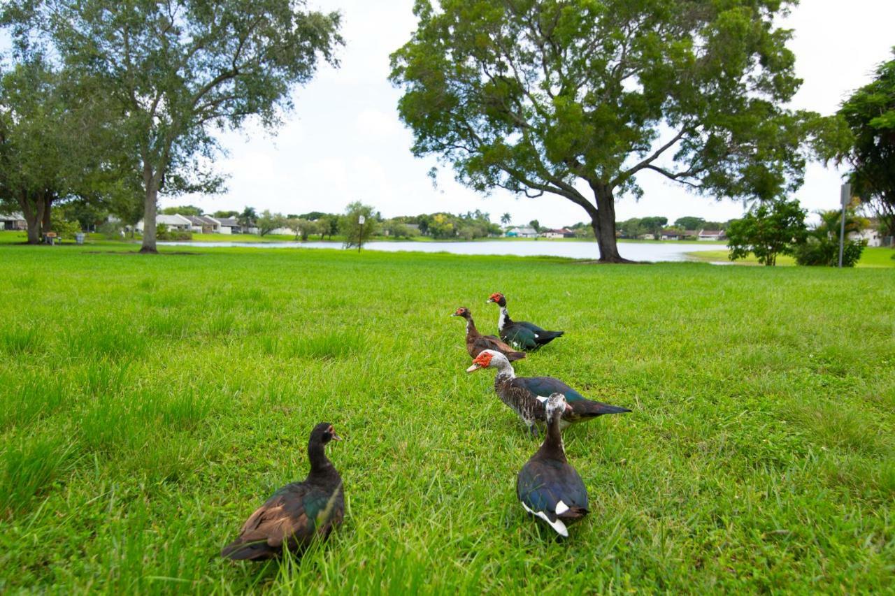 Miami Nice Daire Dış mekan fotoğraf